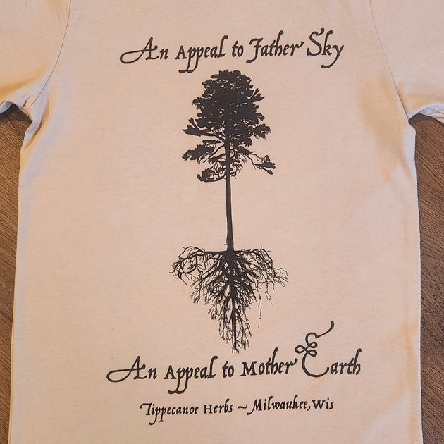 beigetree_1200x630.jpg?v=