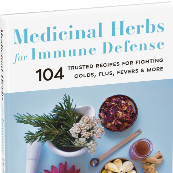Book - Medicinal Herbs for Immune Defense - 104 Trusted Recipes for Fighting Colds, Flus, Fevers, and More by JJ Pursell