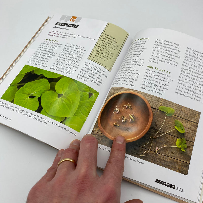 Book - Backyard Foraging - 65 Familiar Plants You Didn’t Know You Can Eat - by Ellen Zachos