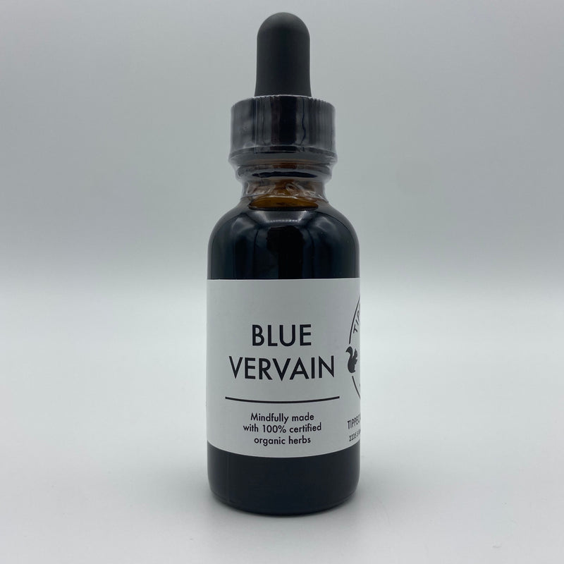 Blue Vervain Extract