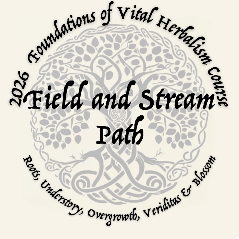 2026 Foundations of Vital Herbalism Course - Enrollment Now Open.