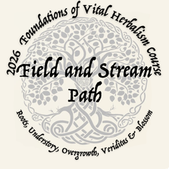2026 Foundations of Vital Herbalism Course - Enrollment Now Open.