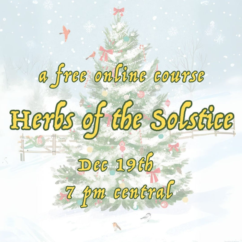 Herbs of the Solstice - FREE Online Course - Thurs 12/19 - 7pm cst