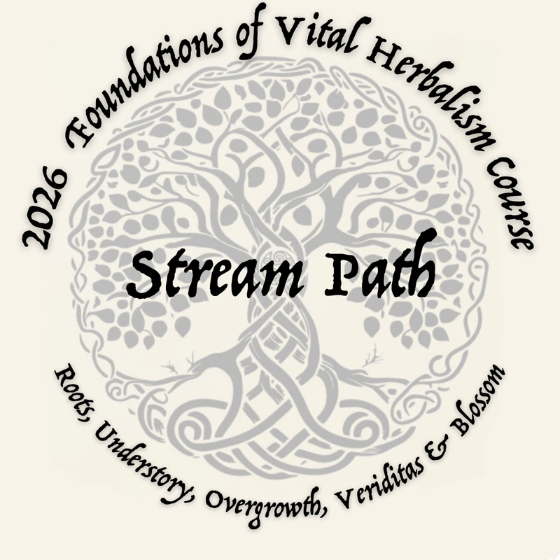 2026 Foundations of Vital Herbalism Course - Enrollment Now Open.