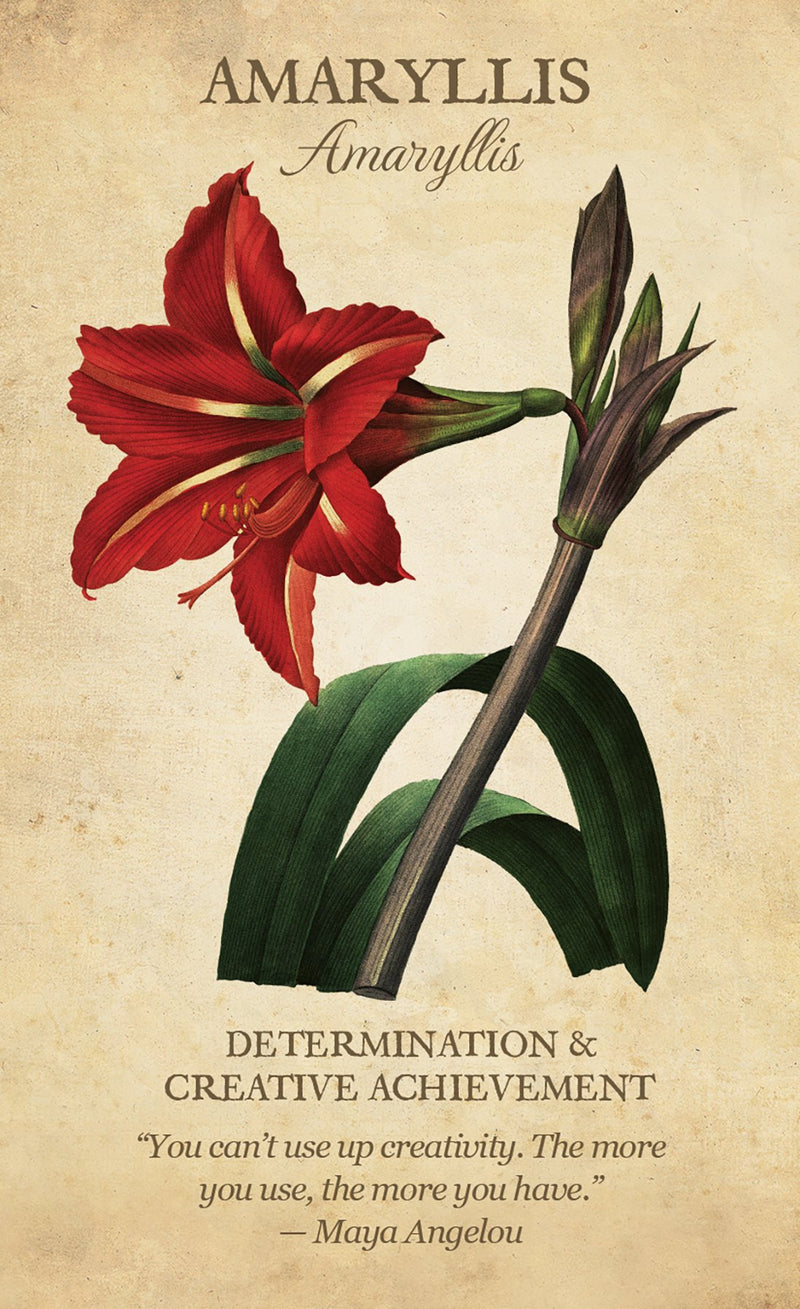 Botanical Inspirations Deck & Book Set by Lynn Araujo