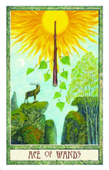 The Druid Craft Tarot: Use the magic of Wicca and Druidry to guide your life by Philip and Stephanie Carr-Gomm, Illustrated by Will Worthington