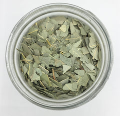 Eucalyptus - Tippecanoe Herbs