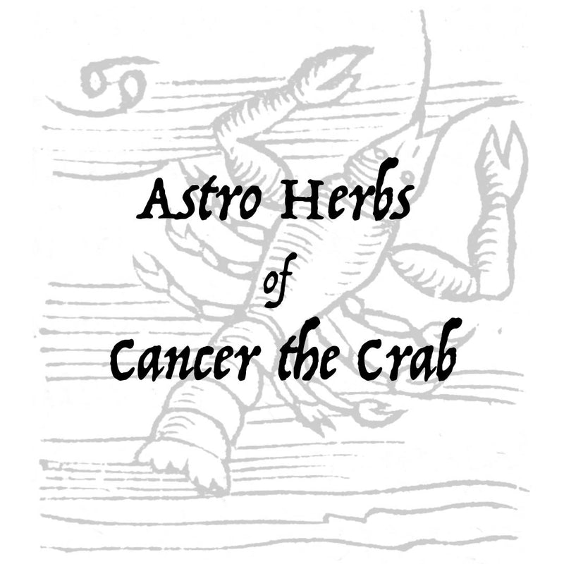 Free Online Class - Astro Herbs of Cancer the Crab - July 7th at 7 pm