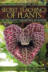 The Secret Teachings of Plants: The Intelligence of the Heart in the Direct Perception of Nature by Stephen Buhner