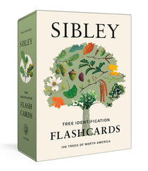 Sibley- Tree Identification Flashcards