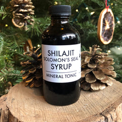 Shilijit and Solomon's Seal Syrup - Mineral Tonic
