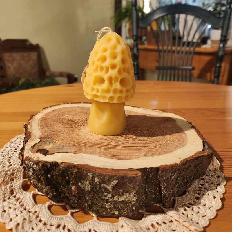 Candle- Bees Wax Morel Mushroom