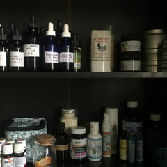 *Sold Out* Medicine Making Intensive Workshop - 2 days in the Apothecary at Tippecanoe Herbs - Sept 28th and 29th