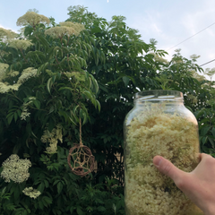 Medicine Making Intensive Workshop - 2 days in the Apothecary at Tippecanoe Herbs - May 18th and 19th