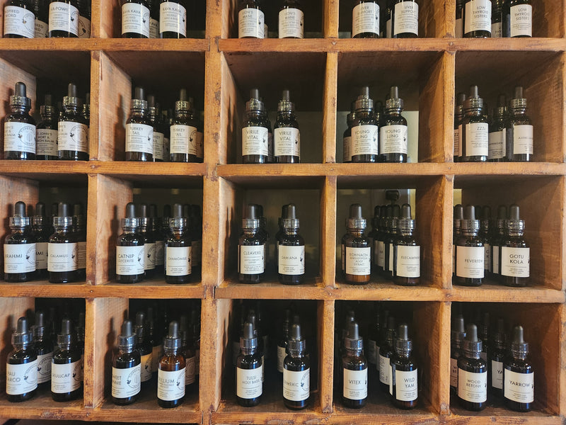 Beginners Mind Tincture