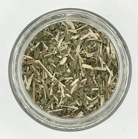 Bugleweed - Tippecanoe Herbs