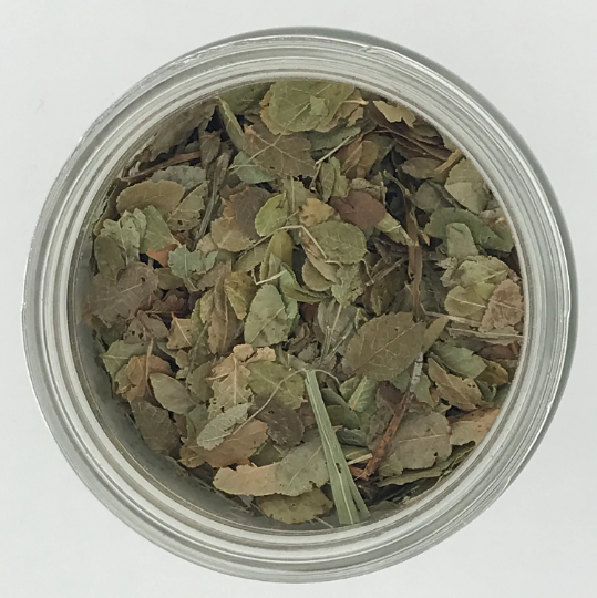 Billberry Leaf - Tippecanoe Herbs