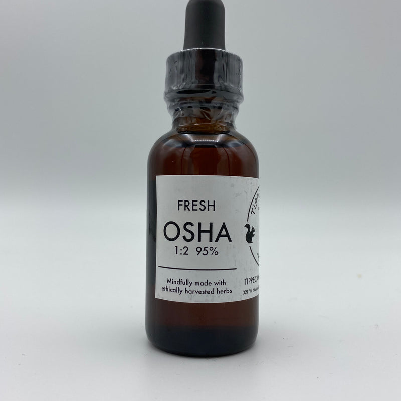 Osha - Fresh Root Tincture - Tippecanoe Herbs