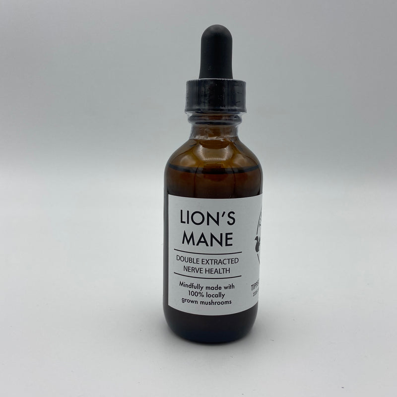 Lions Mane Double Extracted Tincture - Tippecanoe Herbs Herbalist Milwaukee