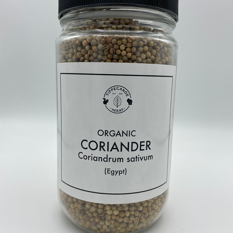 Coriander - Tippecanoe Herbs