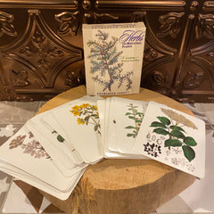 Knowledge Cards - Herbs and Medicinal Plants