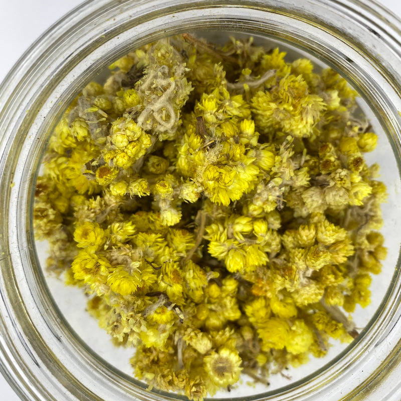 Helicrysum - Tippecanoe Herbs