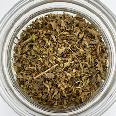 Holy Basil Rama - Tippecanoe Herbs