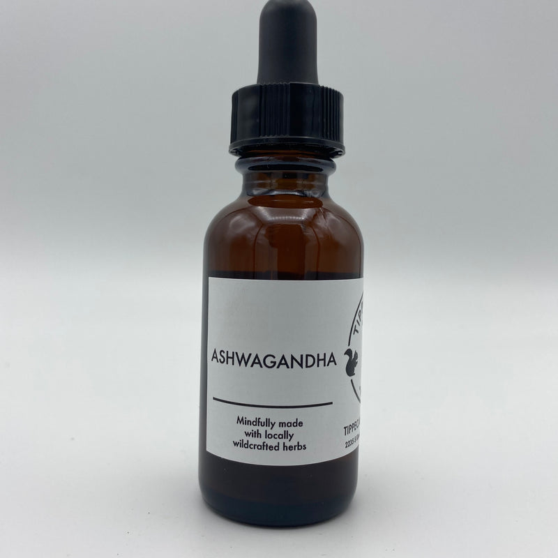 Ashwagandha Extract - Tippecanoe Herbs Herbalist Milwaukee