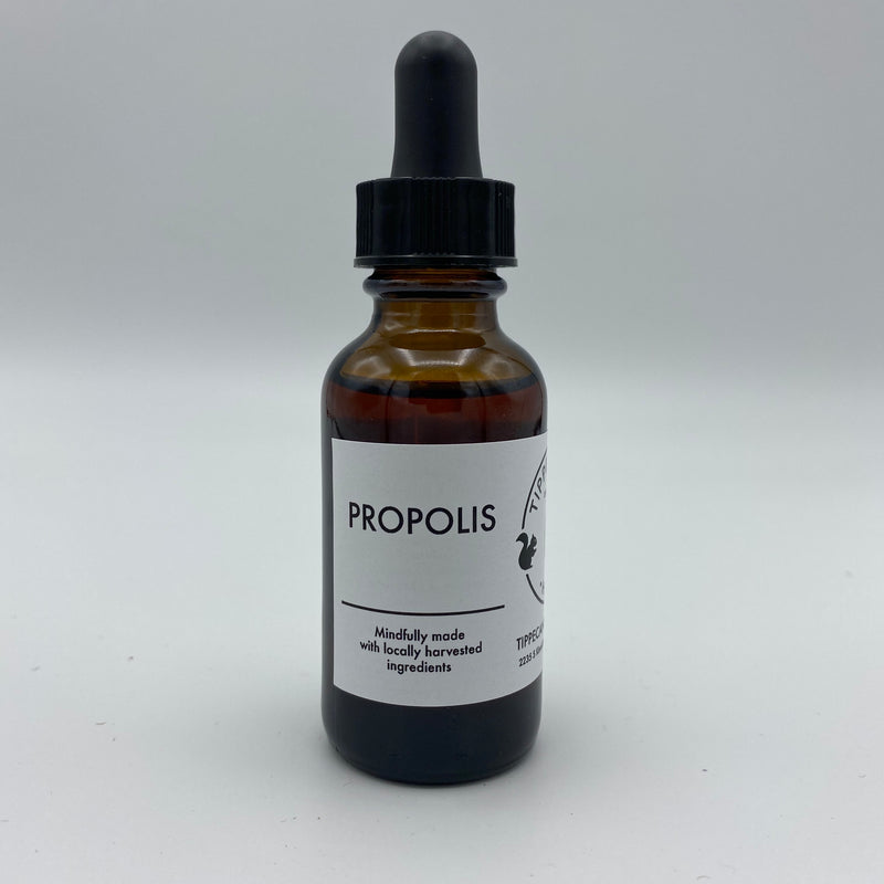 Propolis Tincture - Tippecanoe Herbs