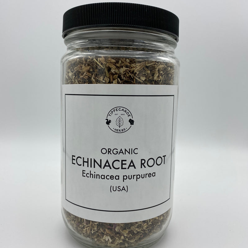 Echinacea Root - Tippecanoe Herbs