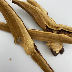 Reishi Mushroom Slices - Tippecanoe Herbs