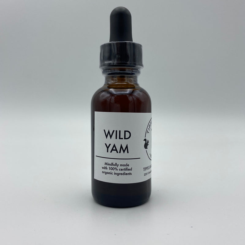 Wild Yam Tincture - Tippecanoe Herbs Herbalist Milwaukee