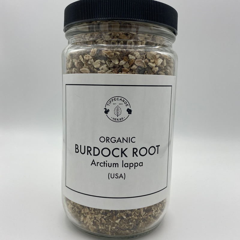 Burdock Root - Tippecanoe Herbs