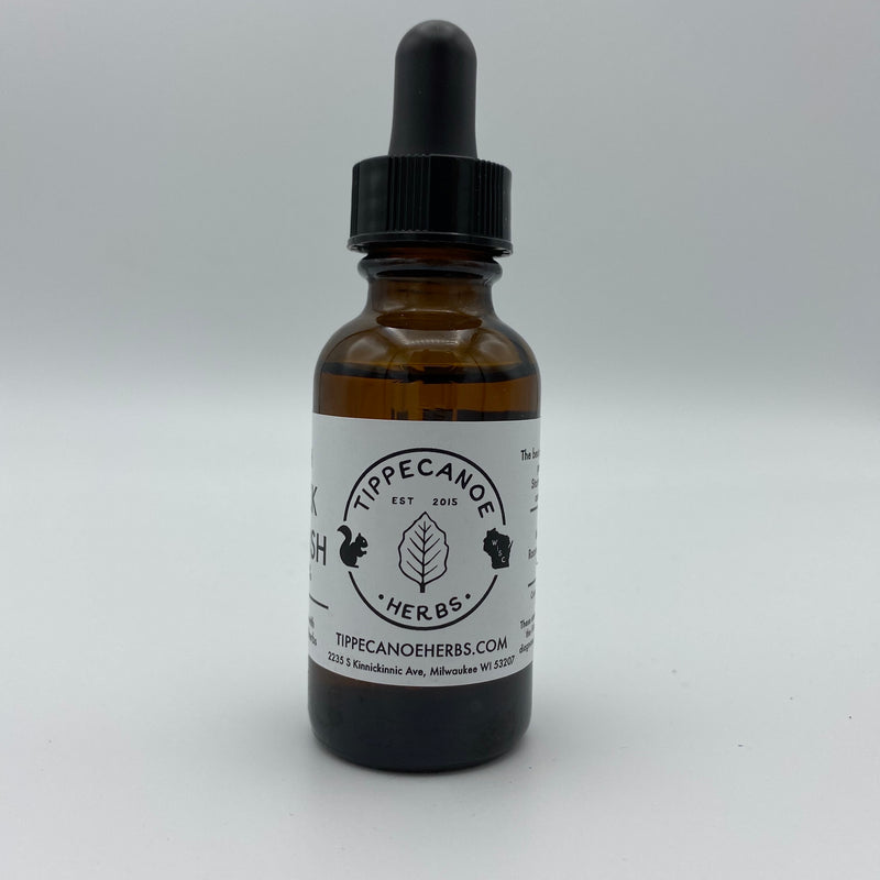Black Cohosh Tincture - Tippecanoe Herbs Herbalist Milwaukee