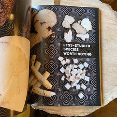 Book - Medicinal Mushrooms- The Essential Guide by Christopher Hobbs