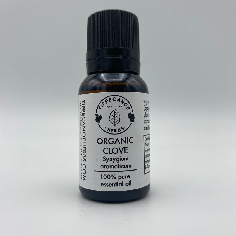 Clove Essential Oil - Organic - Tippecanoe Herbs Herbalist Milwaukee