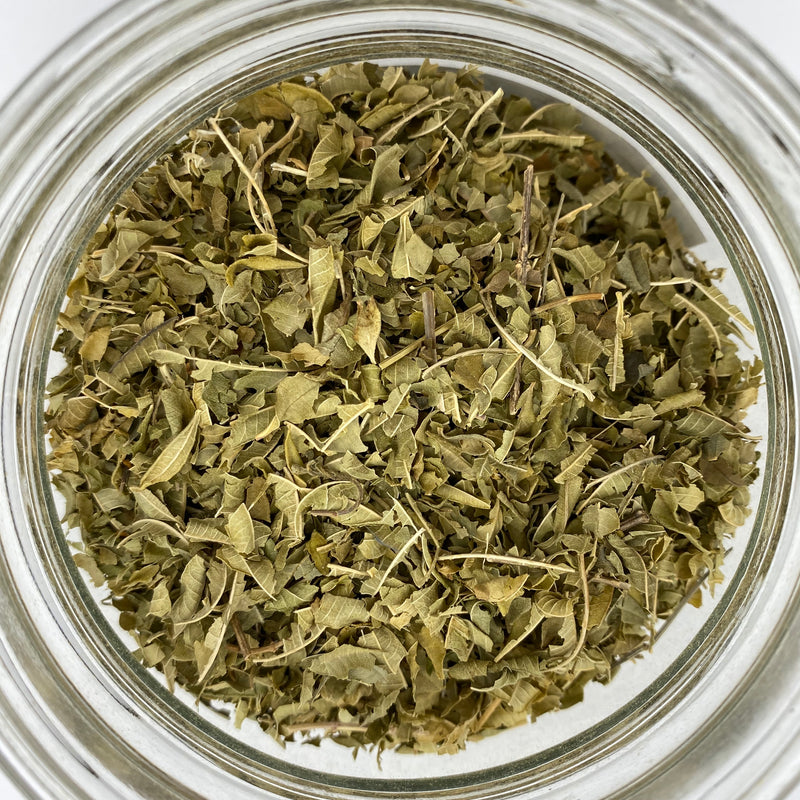 Lemon Verbena - Tippecanoe Herbs