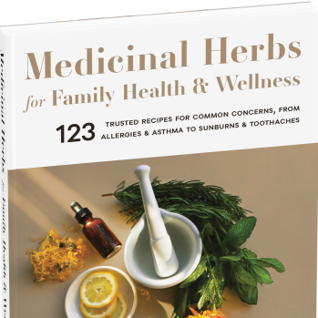 Book - Medicinal Herbs for Family Health & Wellness - 123 Trusted Recipes for Common Concerns, from Allergies & Asthma to Sunburns & Toothaches by JJ Pursell