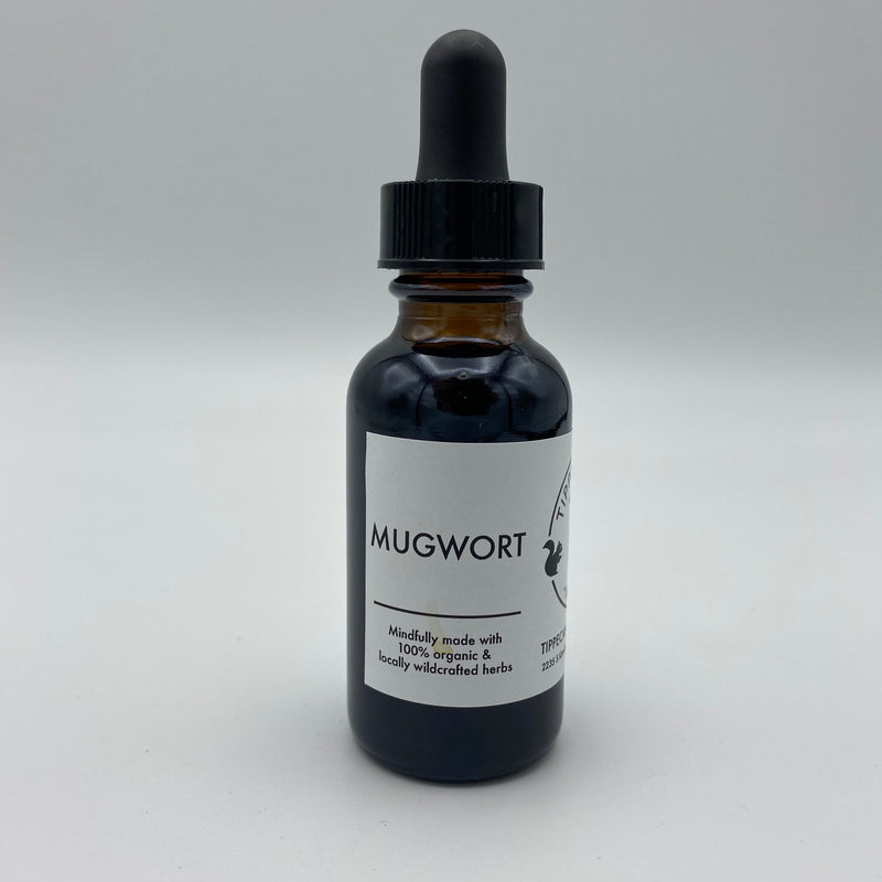 Mugwort - Tippecanoe Herbs Herbalist Milwaukee