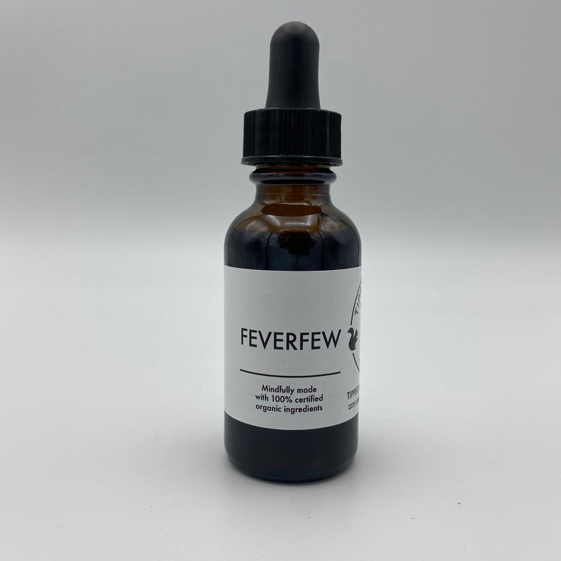 Feverfew Tincture - Tippecanoe Herbs Herbalist Milwaukee