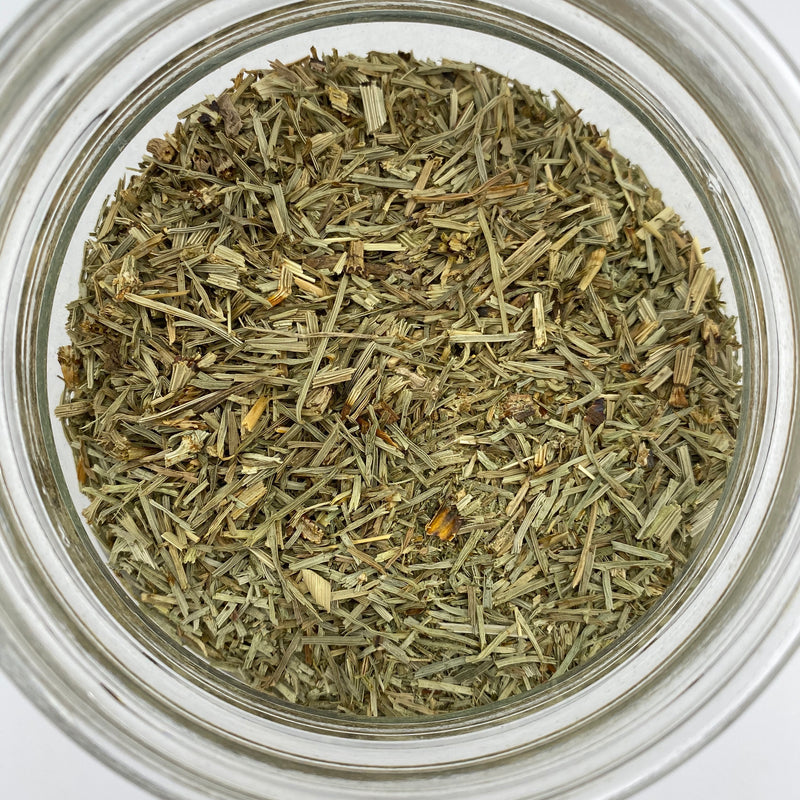 Horsetail - Tippecanoe Herbs