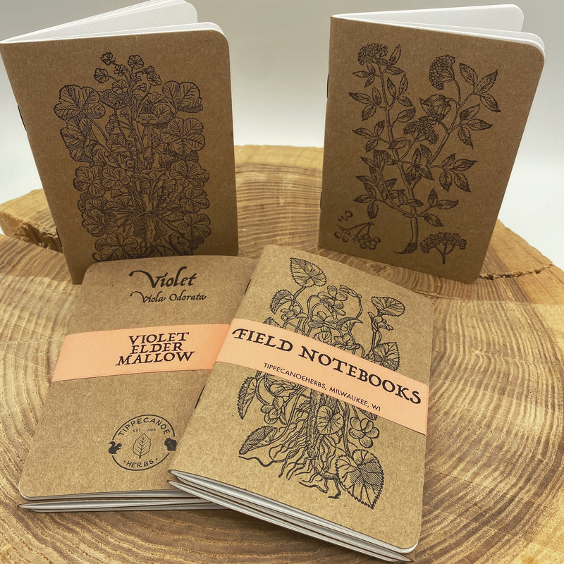 Field Notebook Pack of 3