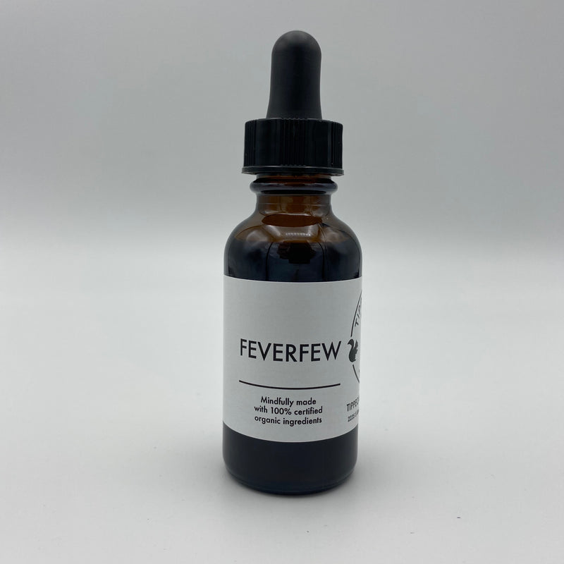 Feverfew Tincture - Tippecanoe Herbs Herbalist Milwaukee