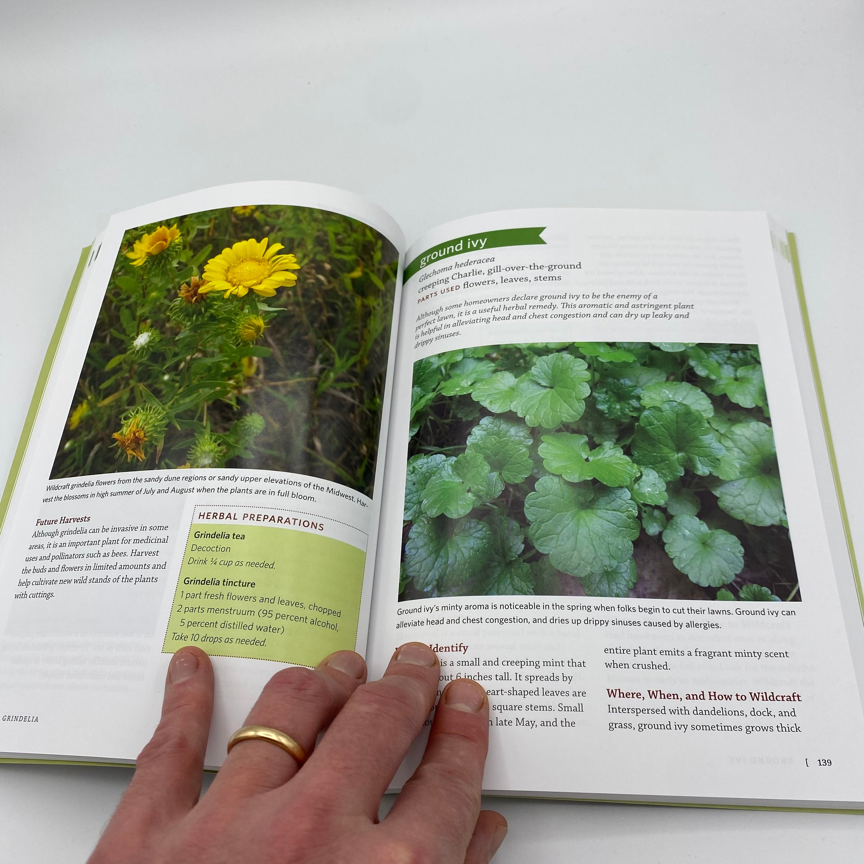 Book - Midwest Medicinal Plants - Identify, Harvest, and Use 109 Wild